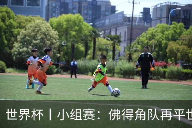 世界杯丨小组赛：佛得角队再平世界杯冠军